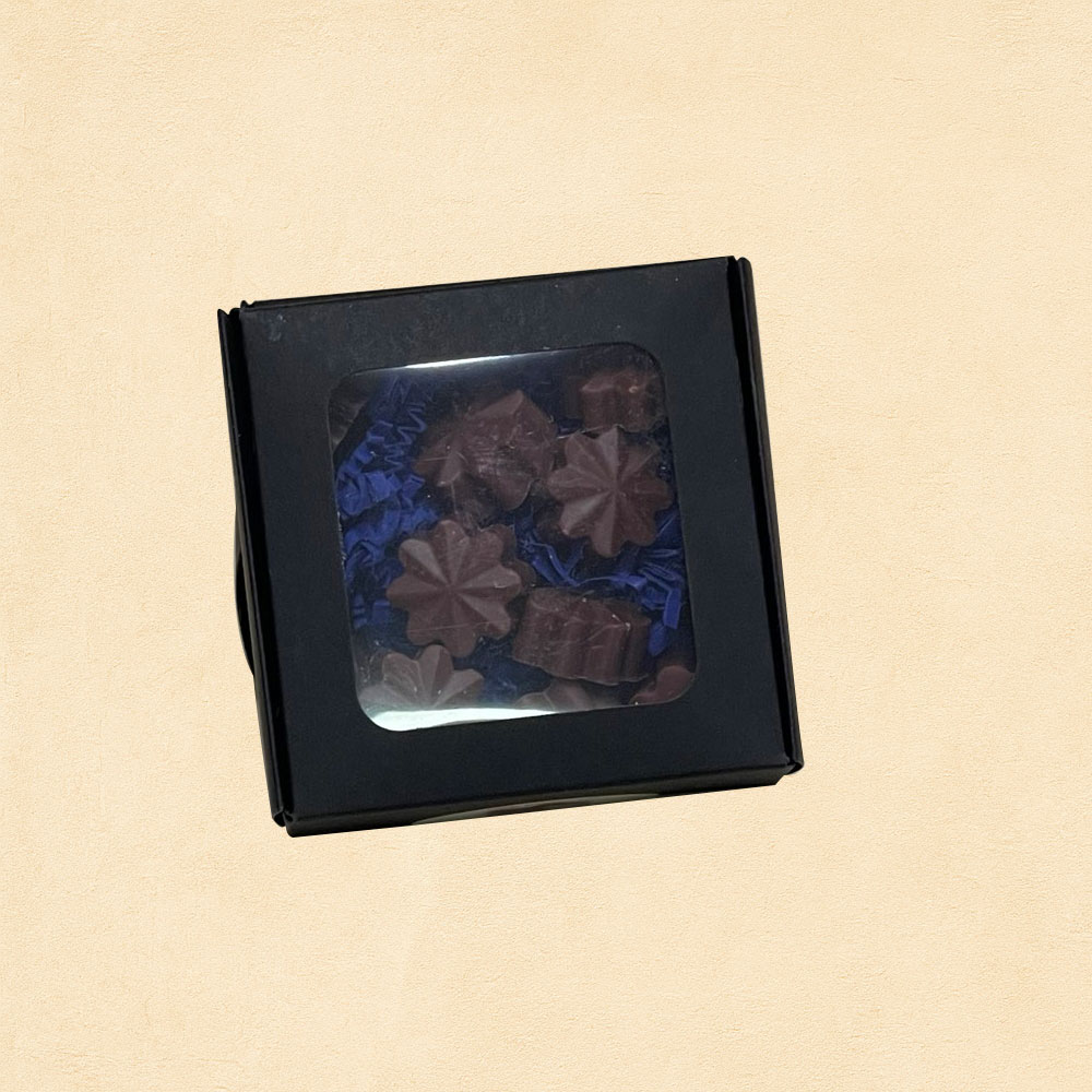 Μπάρες Wax Melt 10 τεμάχια 