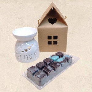 Λευκός καυστήρας Wax Melt Love με Wax Melt Bar από κερί σόγιας Λευκός καυστήρας Wax Melt Love με Wax Melt Bar από κερί σόγιας