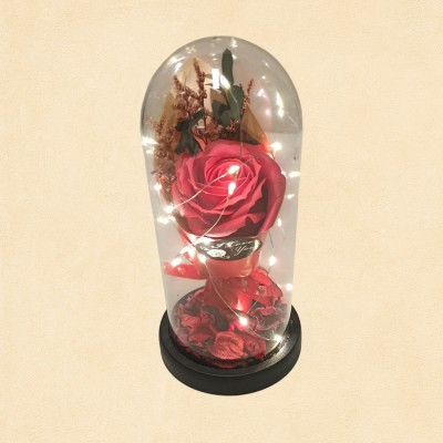 Lighting Rose