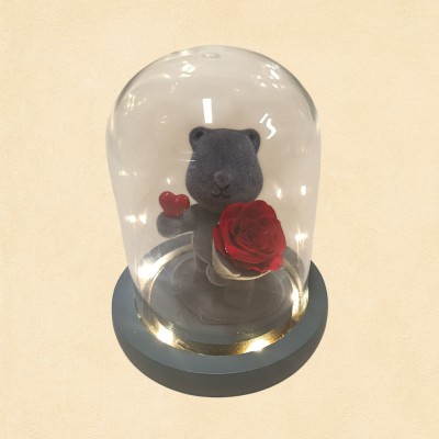 My Valentine Bear